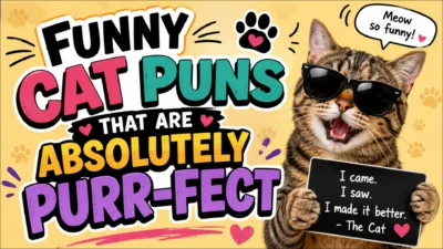 Funny cat wearing sunglasses holding a sign with a humorous quote beside colorful text reading "Funny Cat Puns That Are Absolutely Purr-fect" on a bright playful background.