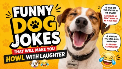 Funny Dog Jokes That Will Make You Howl With Laughter 🐶😂